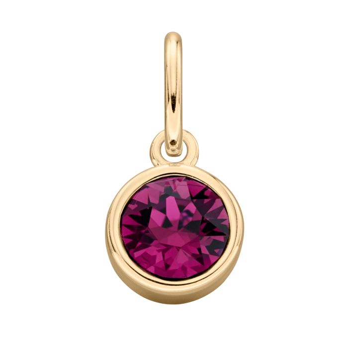 GKO Gold & Crystal Birthstone Charm & Disc Necklace-Amethyst (February)