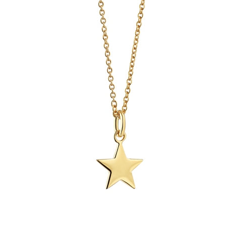 Newbridge Silverware Necklace With Star Pendant