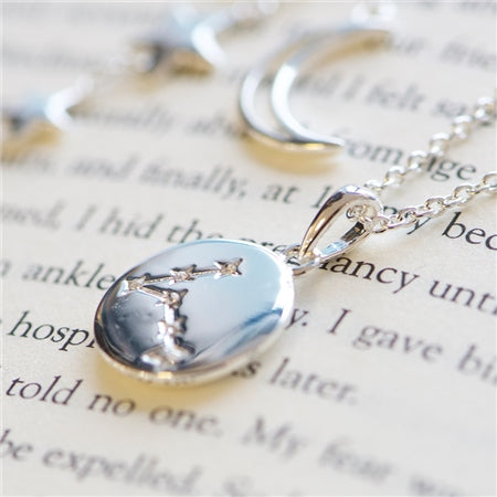Newbridge Silverware Necklace Zodiac Pendant Pisces