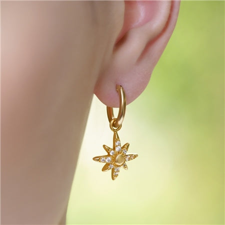 Newbridge Silverware Gold Amy Star Earrings with Clear Stones