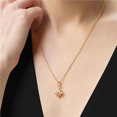 Newbridge Silverware Gold Plated Necklace Star Pendant With Clear Stones