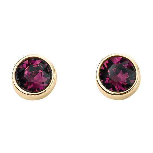 GKO Gold & Crystal Birthstone Earrings Amethyst (February)