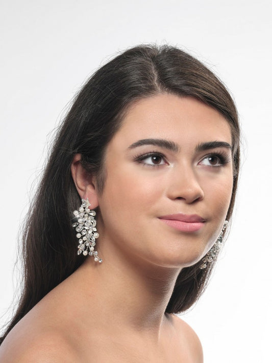 NC-1323 Earrings Silver - everly-acbf