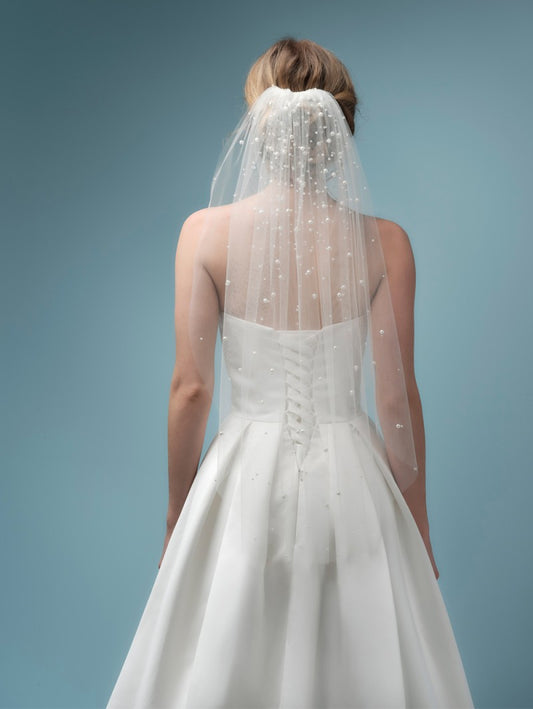 EV-S220-080--1--MED Veil